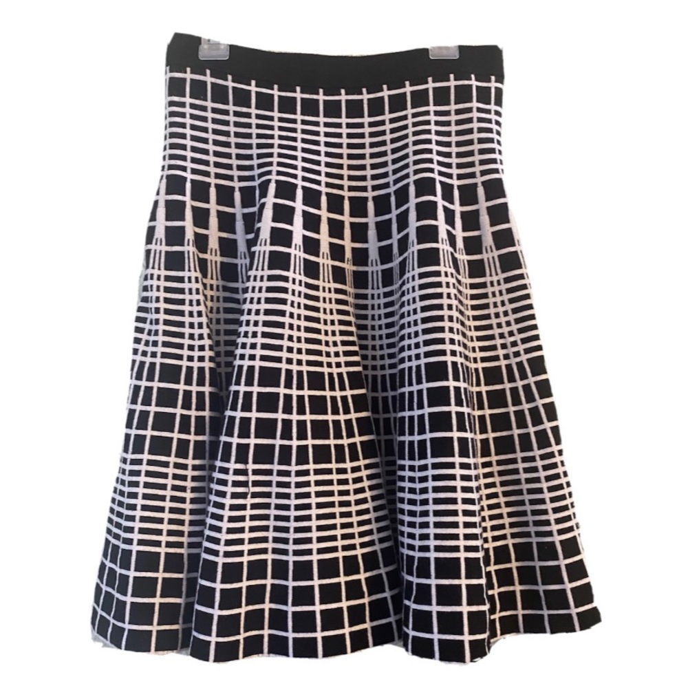 Ana Couture Pleated Flared High Waisted Skirt